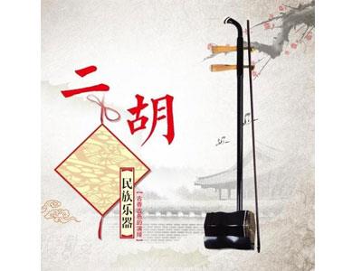 招聘南阳二胡家教老师